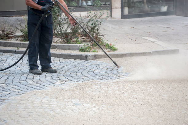 Best Pre-Holiday Cleaning  in East Hills, NY